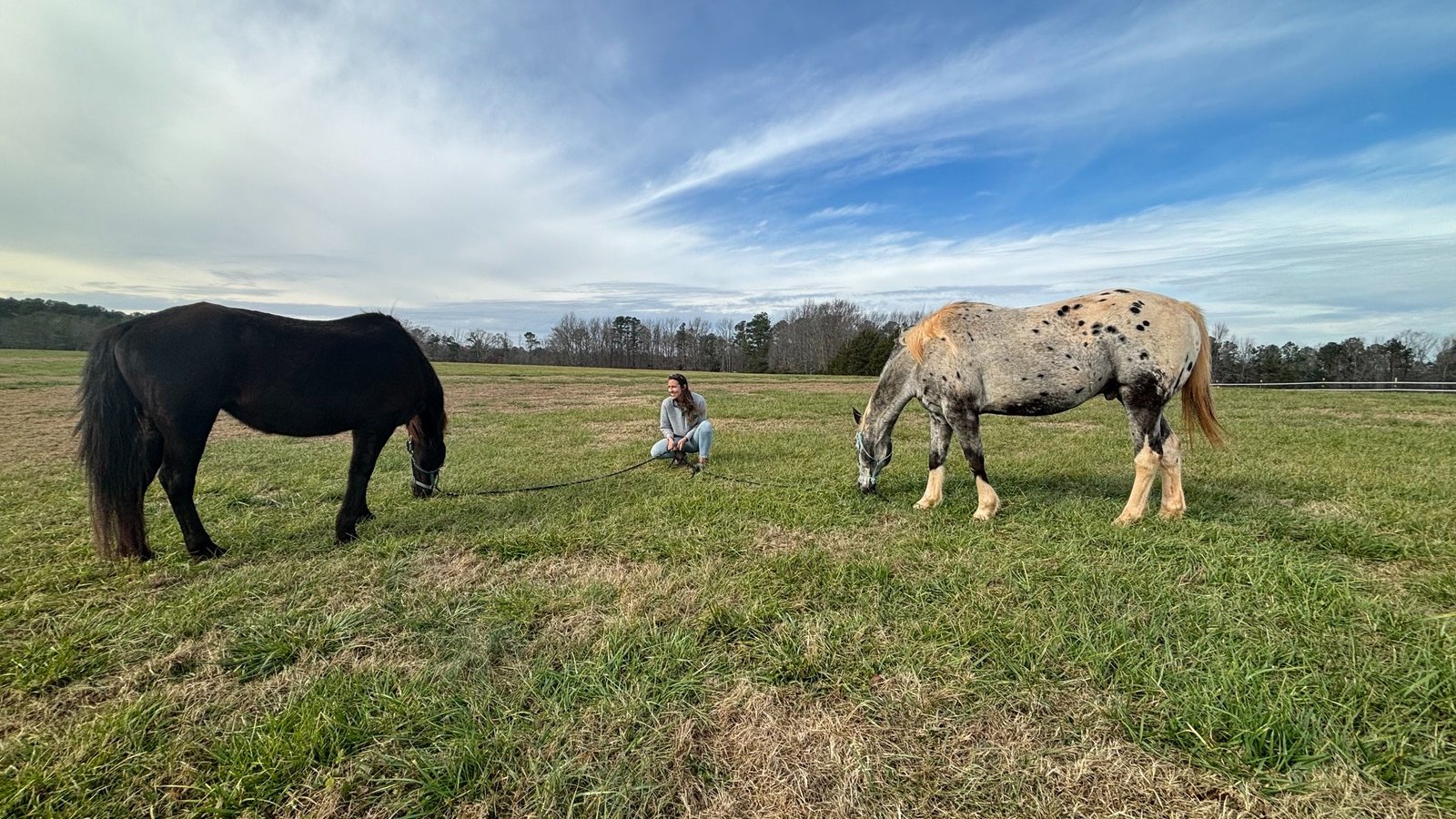 Heather Lewis kneeling in a pasture between her two horses, one black and one appaloosa